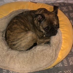 Meet your Posher, Jrod